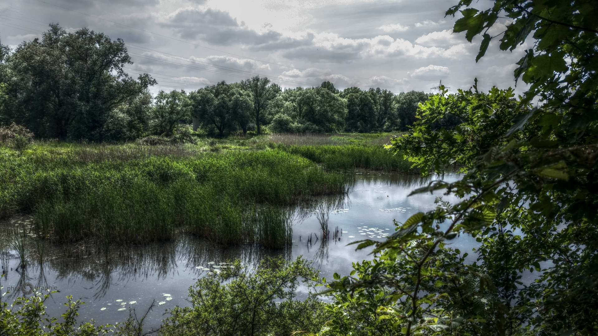 Die Aue zwischen Mulde und Elbe