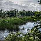 Die Aue zwischen Mulde und Elbe