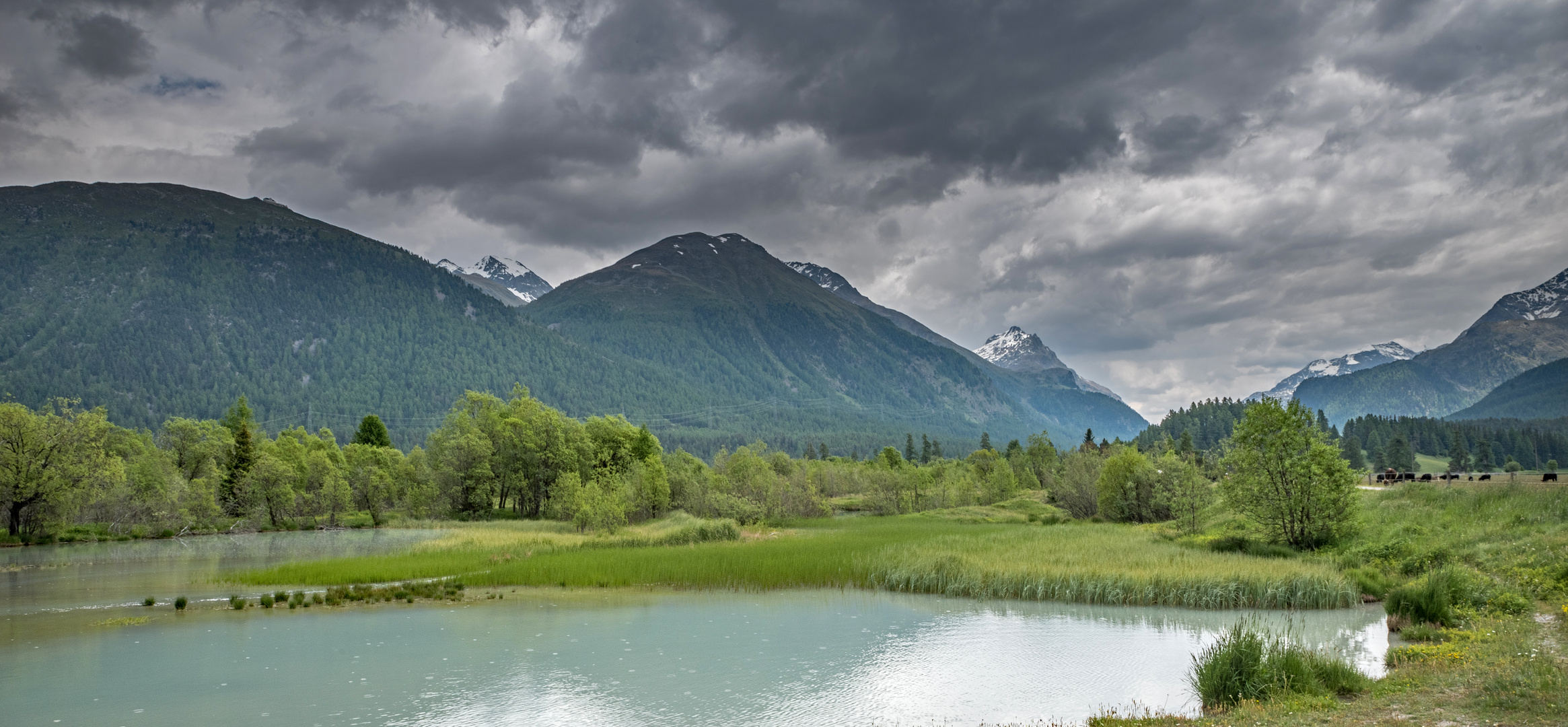 Die Auenlandschaft benötigt Wasser