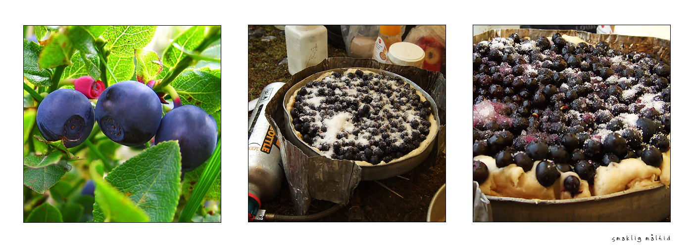 die Auf-dem-Benzinkocher-in-der-Pfanne-Blaubeerkuchen-Panorama-Collage