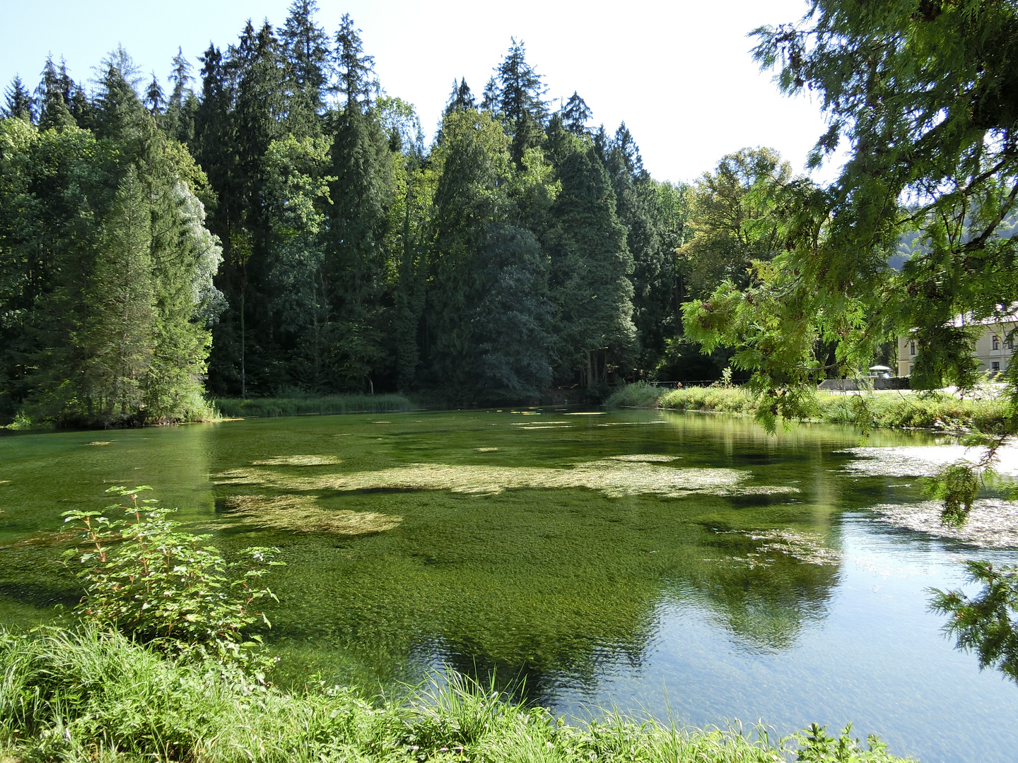 Die aufgestaute Erlauf im ehemaligen Industriegebiet in Neubruck