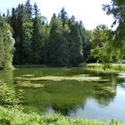 Die aufgestaute Erlauf im ehemaligen Industriegebiet in Neubruck