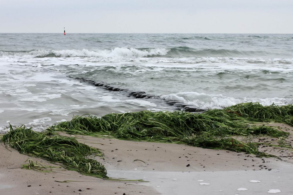 Die aufgewühlte Ostsee im Januar 2012