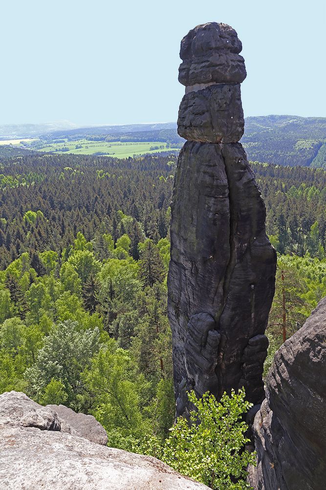 Die Aufnahmen der Barbarine kurz vor Mittag gegen das Licht...