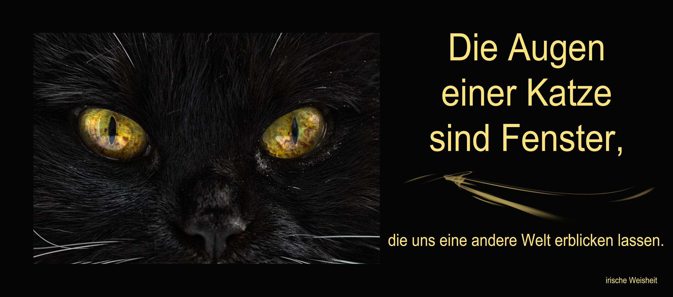 Die Augen..............