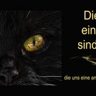 Die Augen..............