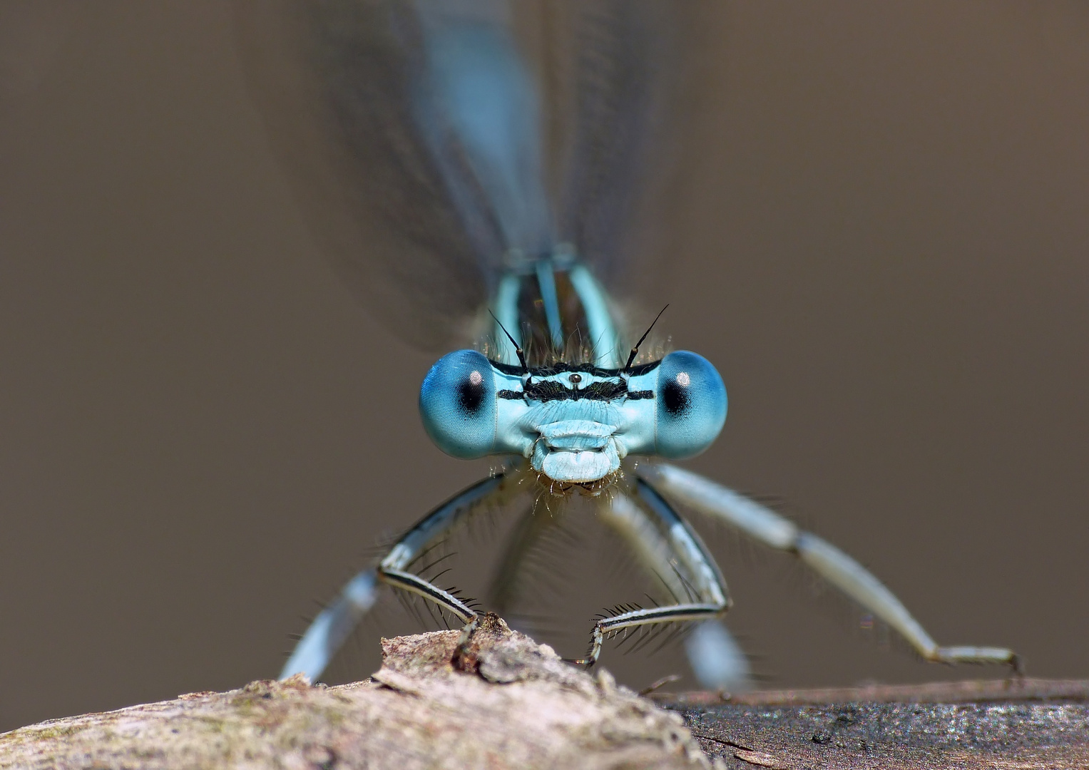 Die Augen immer offen halten