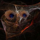 Die Augen von Apophysis