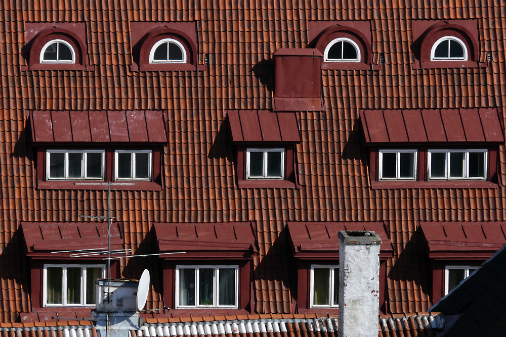 die Augen von Tallinn