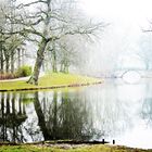 Die Augustenbrücke im aufsteigenden Nebel