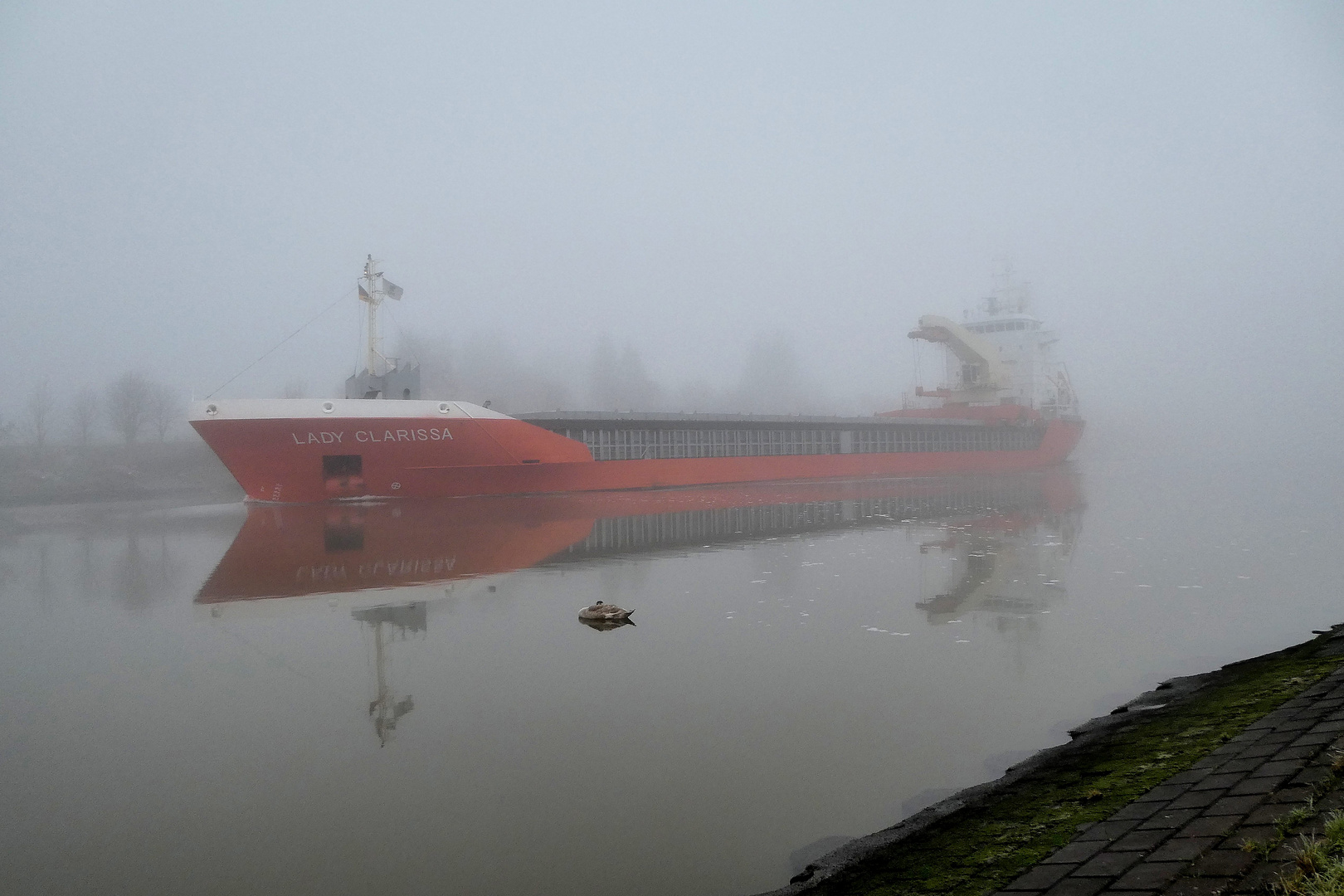 Die aus dem Nebel kam...