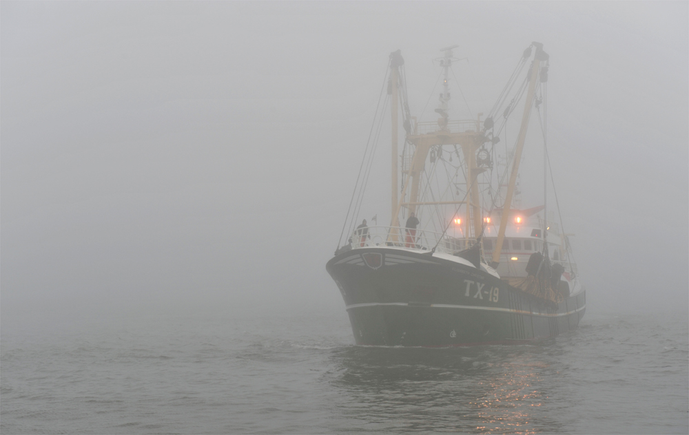 Die aus dem Nebel kommen..