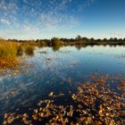 Die Ausgelassenheit des Herbstes