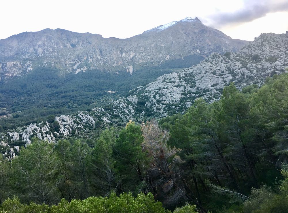 die Ausläufer der Tramuntana vor Pollença 