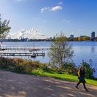  Die Außenalster in Hamburg