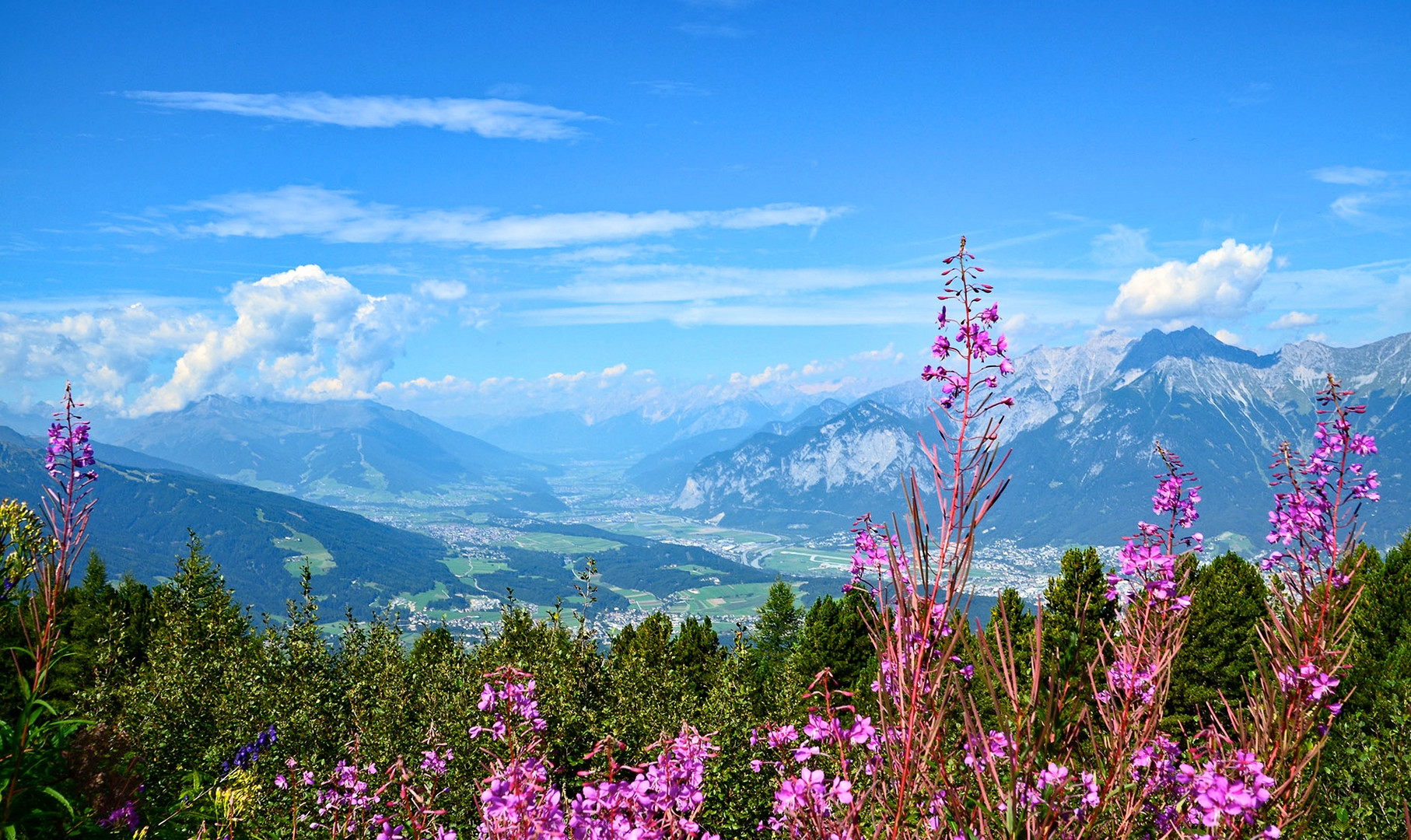 Die Aussicht 