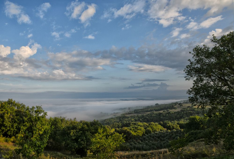 die Aussicht