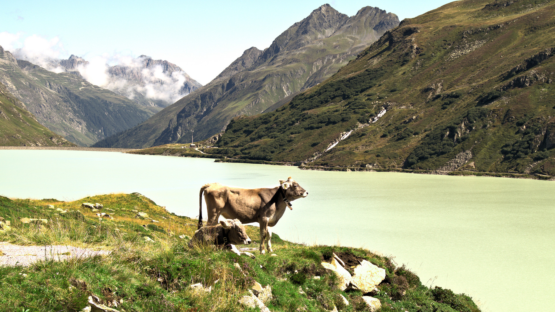 Die Aussicht genießen