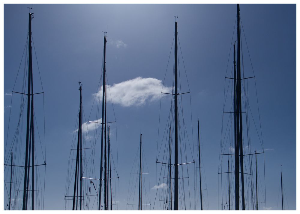 die Aussicht im Hafen