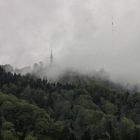 Die Aussicht im Nebel