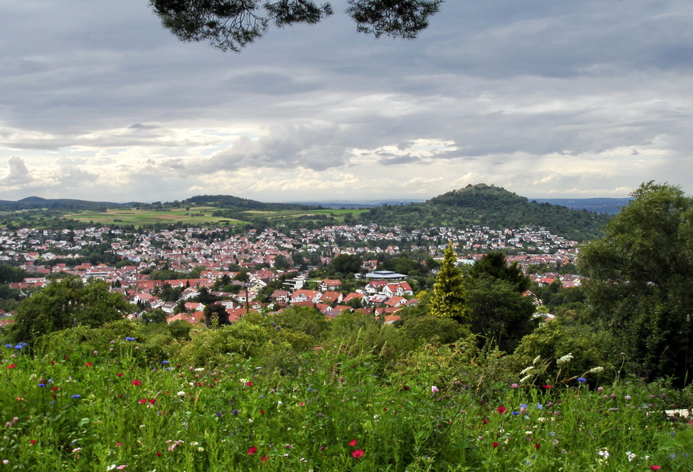 Die Aussicht vom Waldcafé