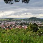 Die Aussicht vom Waldcafé