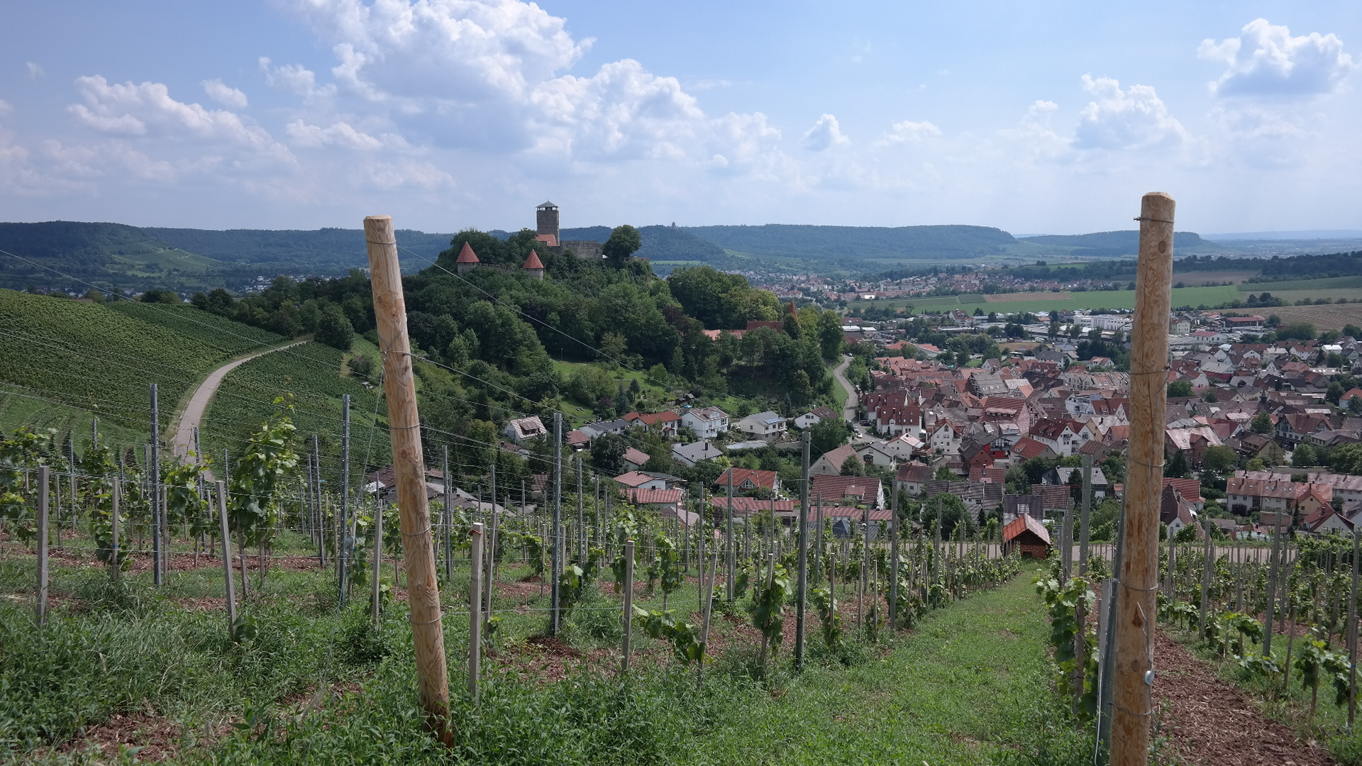 Die Aussicht vom Weinberg