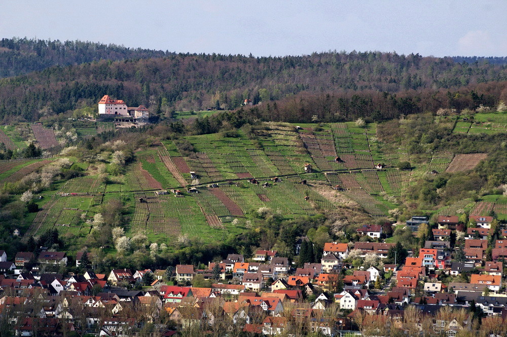 Die Aussicht von der Wurmlinger Kapelle (2)