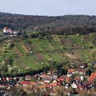 Die Aussicht von der Wurmlinger Kapelle (2)