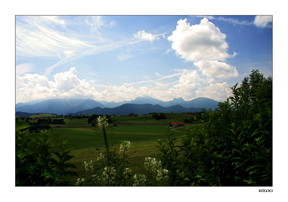 die Aussicht von unserer Ferienwohnung.....