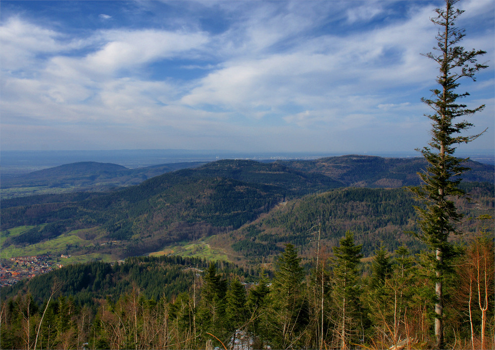 Die Aussichten auf Frühling stehen gut