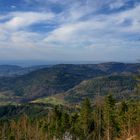 Die Aussichten auf Frühling stehen gut