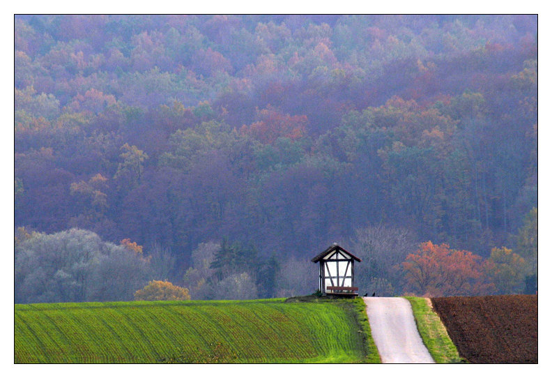 Die Aussichten ... noch kein Schnee