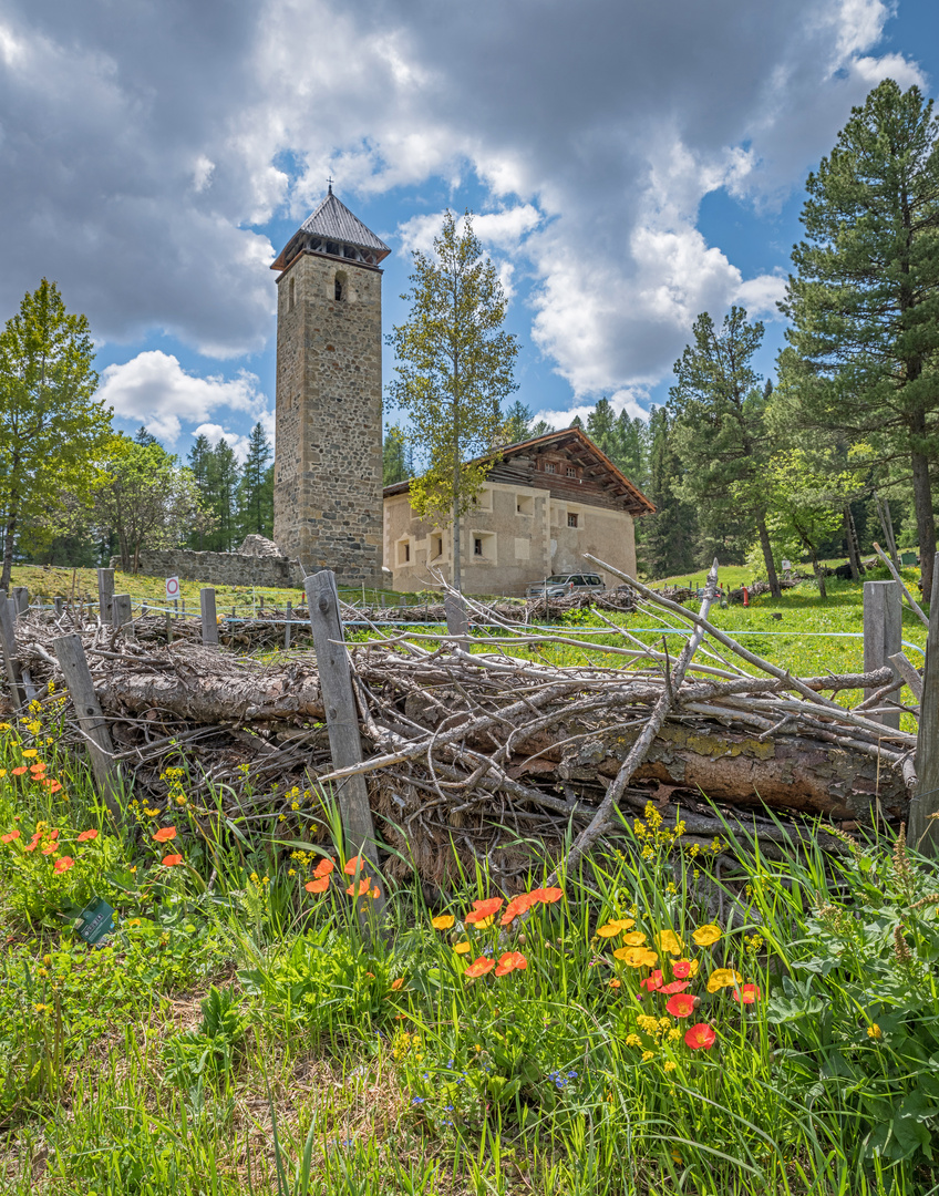 Die Auswahl: Kirchturm, Blumen oder Wolken