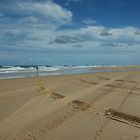 Die Autobahn von Fraser Island