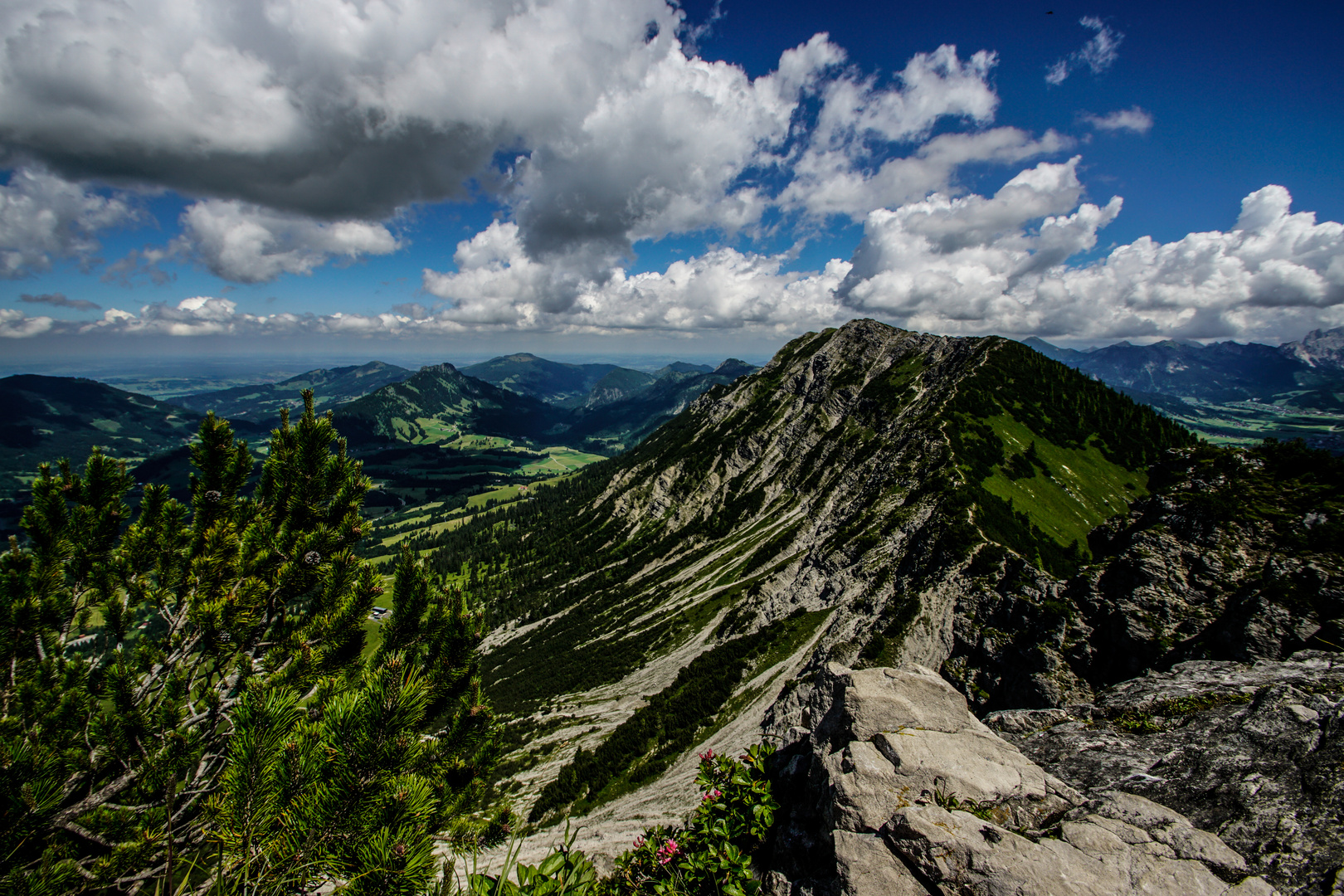 Die Bad Hindelanger Alpen 