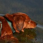 Die Badesaison ist eröffnet