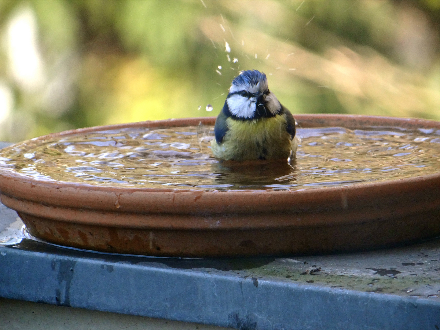 Die Badesaison ist eröffnet