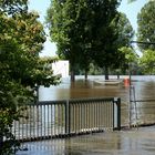 Die Badesaison ist eröffnet im Rheinstrandbad Rappenwört