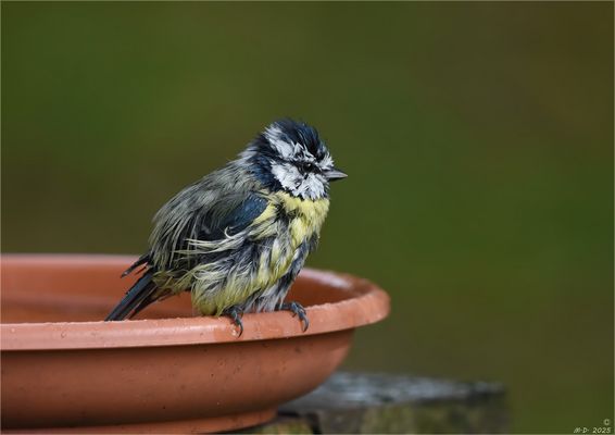 Die Badesaison ist noch nicht beendet!