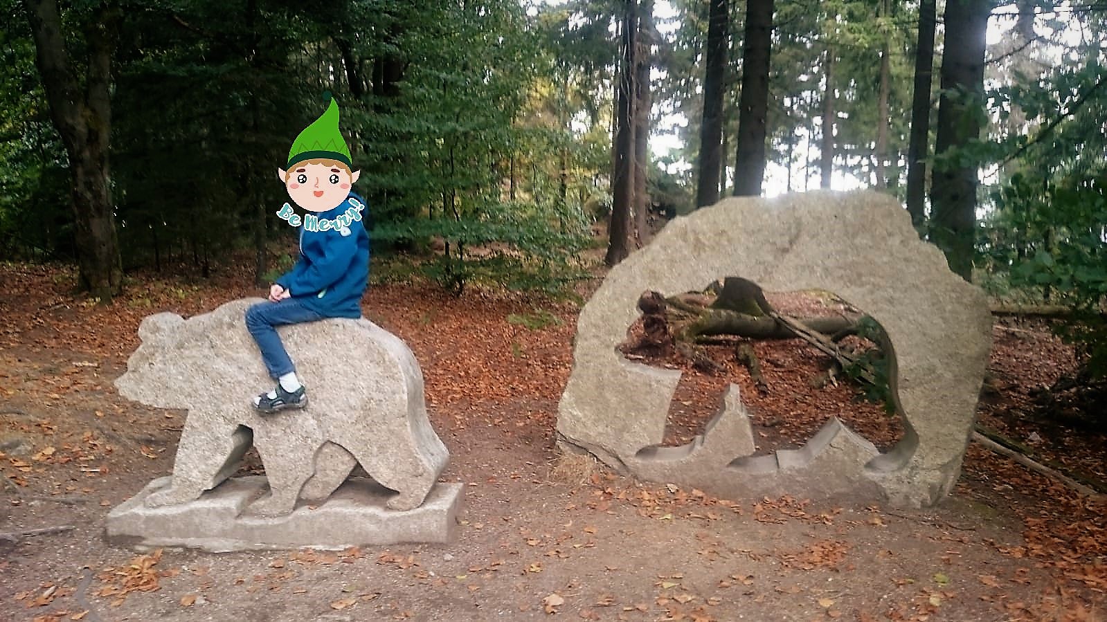 Die Bären sind los ! auf dem Waldstein im Fichtelgebirge