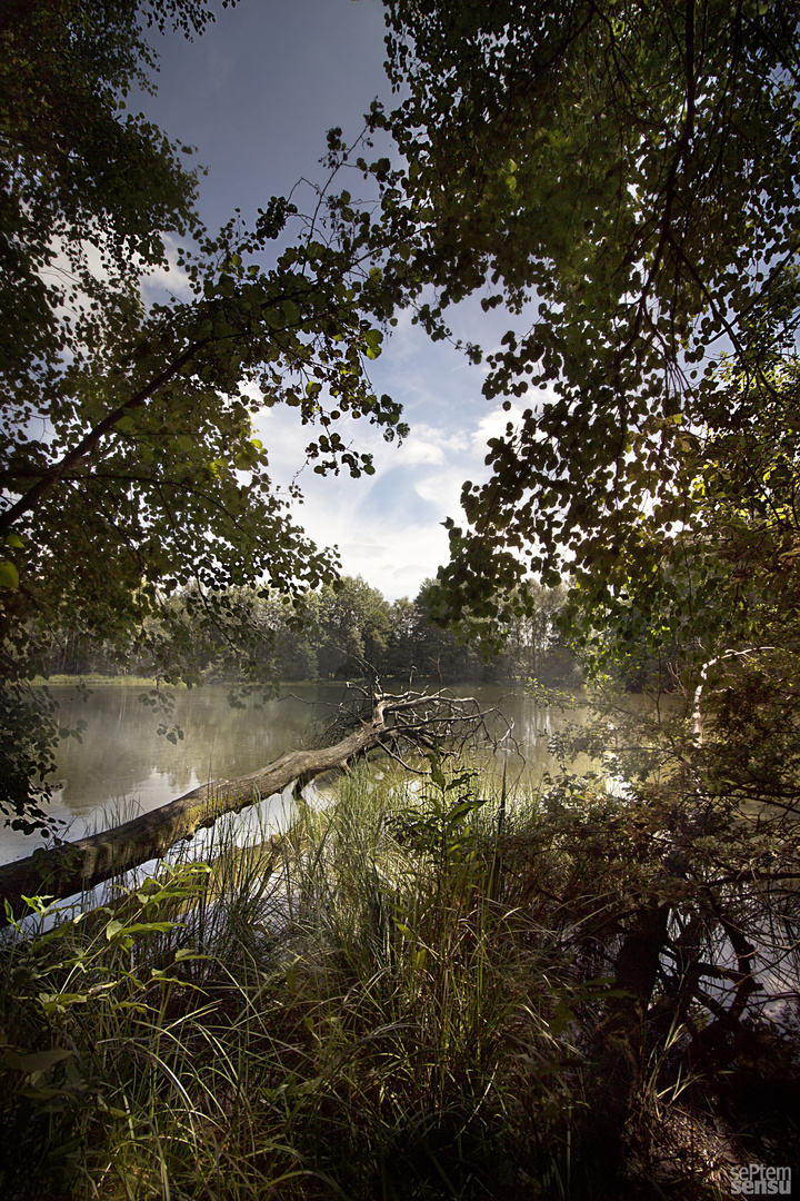 Die Bärenteiche bei Schönberg