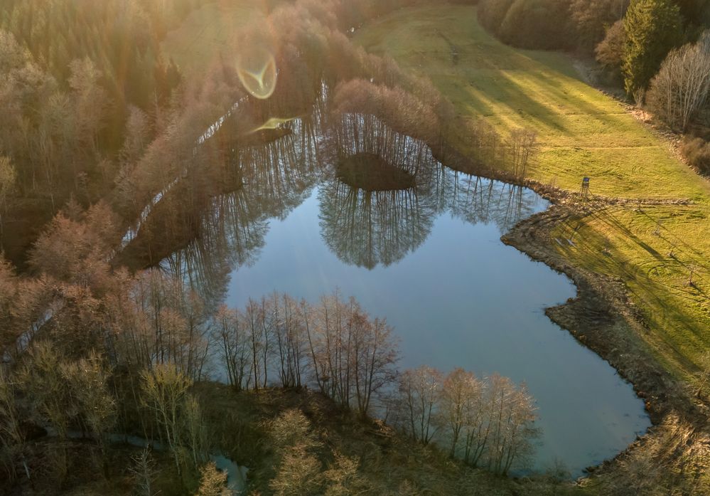 Die Bäume betrachten sich im Wasserspiegel