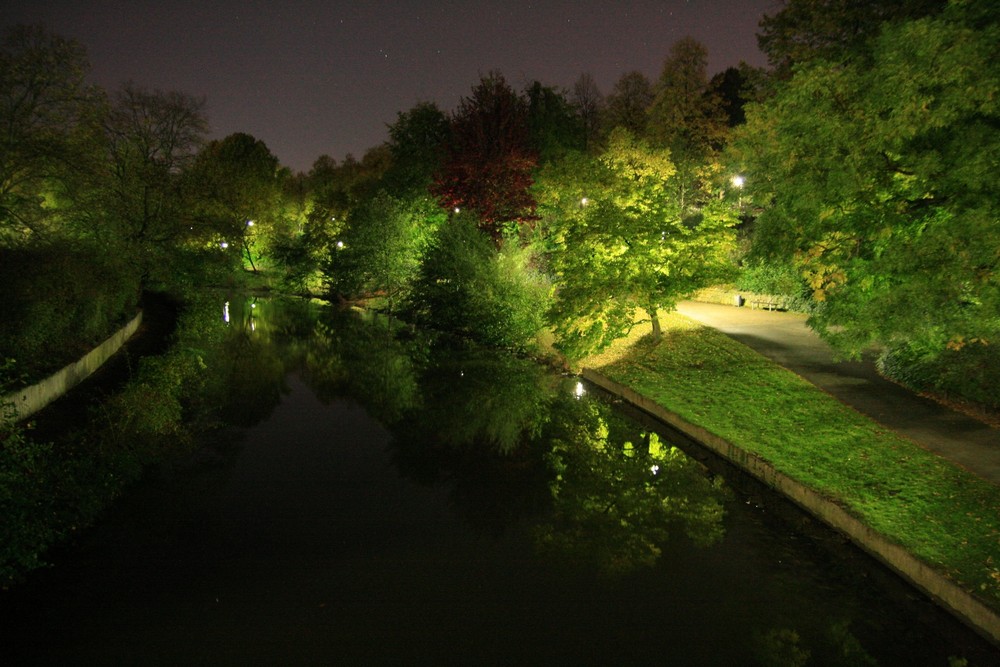 Die Bäume im Abendlicht der Laternen spiegeln sich im Fluss