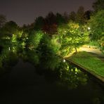 Die Bäume im Abendlicht der Laternen spiegeln sich im Fluss