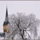 Die Bäume machen es den Kirchen nach, sie wachsen in den Himmel....