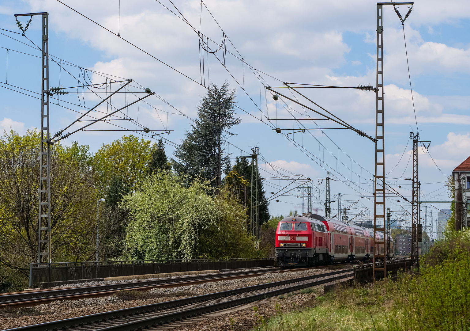 Die Bäume schlagen aus ! Foto & Bild münchen, baum, frühling Bilder