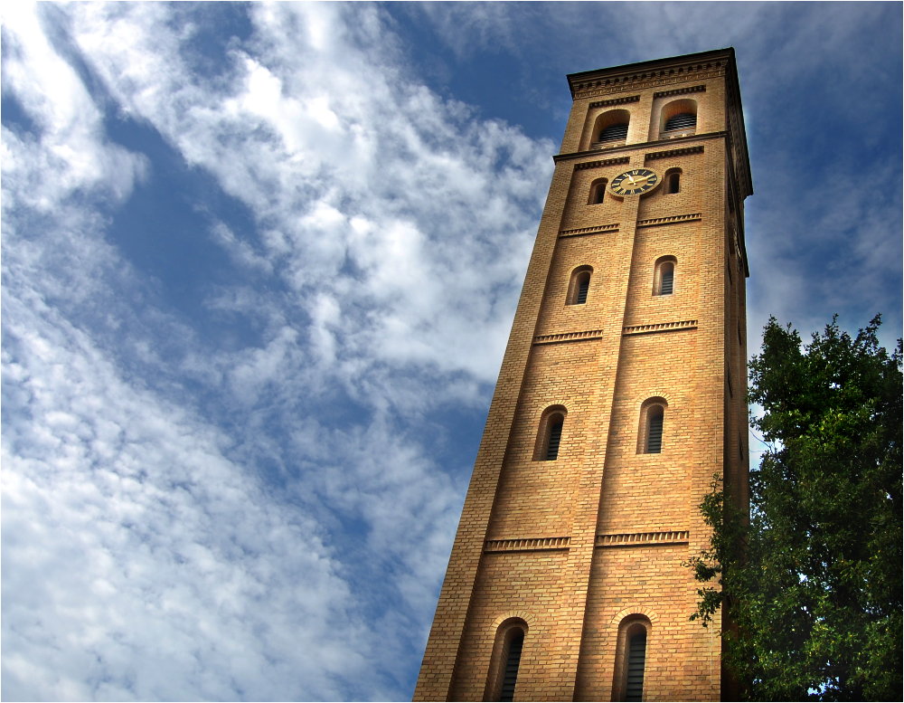 die Bäume wachsen nicht in den Himmel