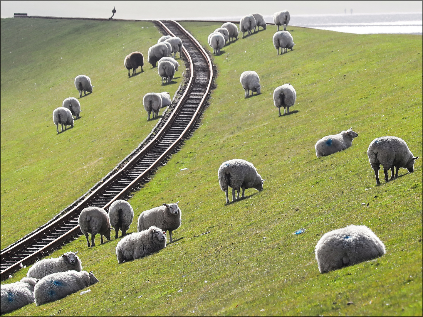 die Bahn kommt