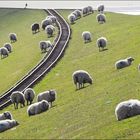 die Bahn kommt